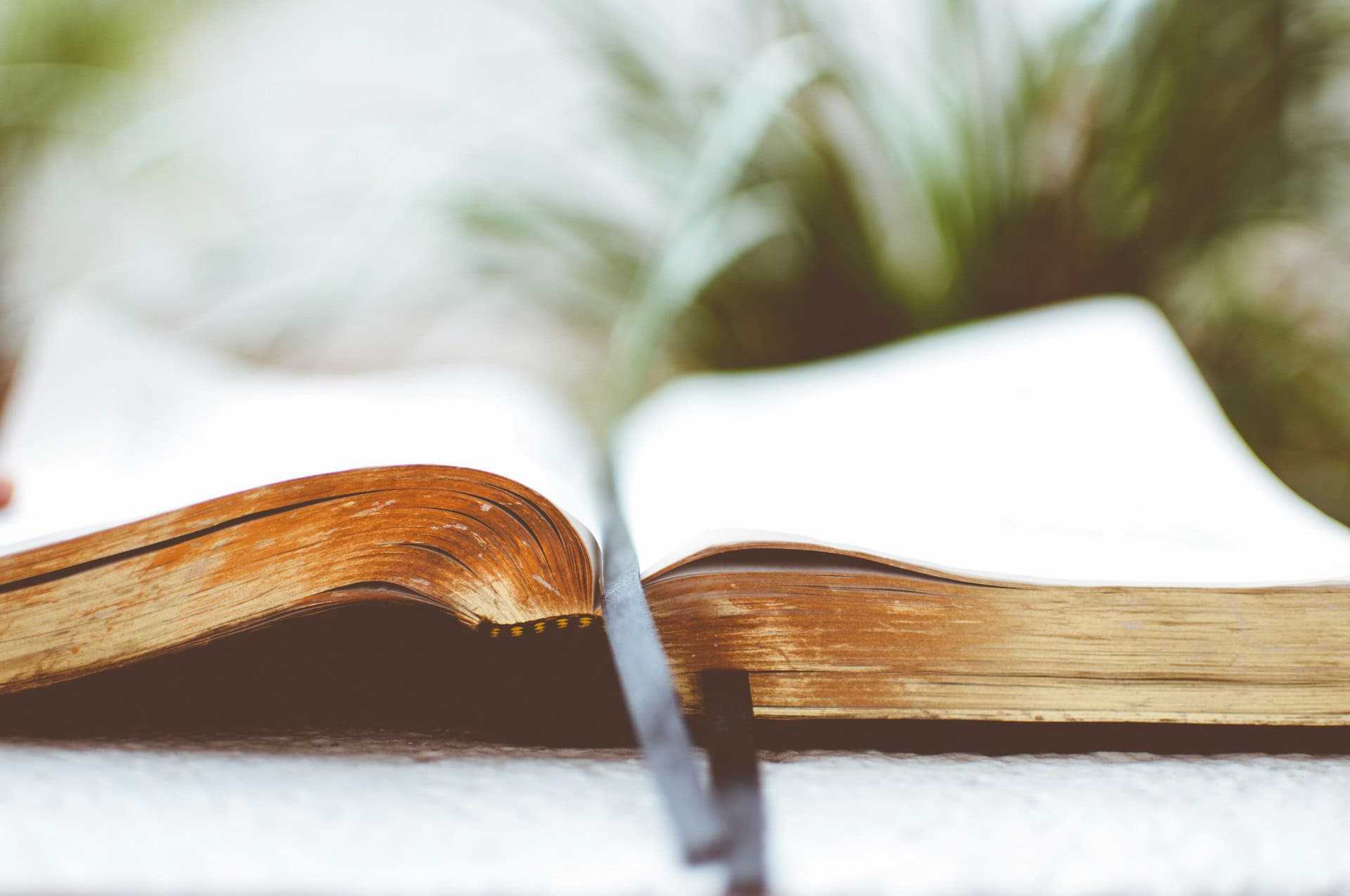 A book with gilt edges and a black bookmark open in front of a plant
