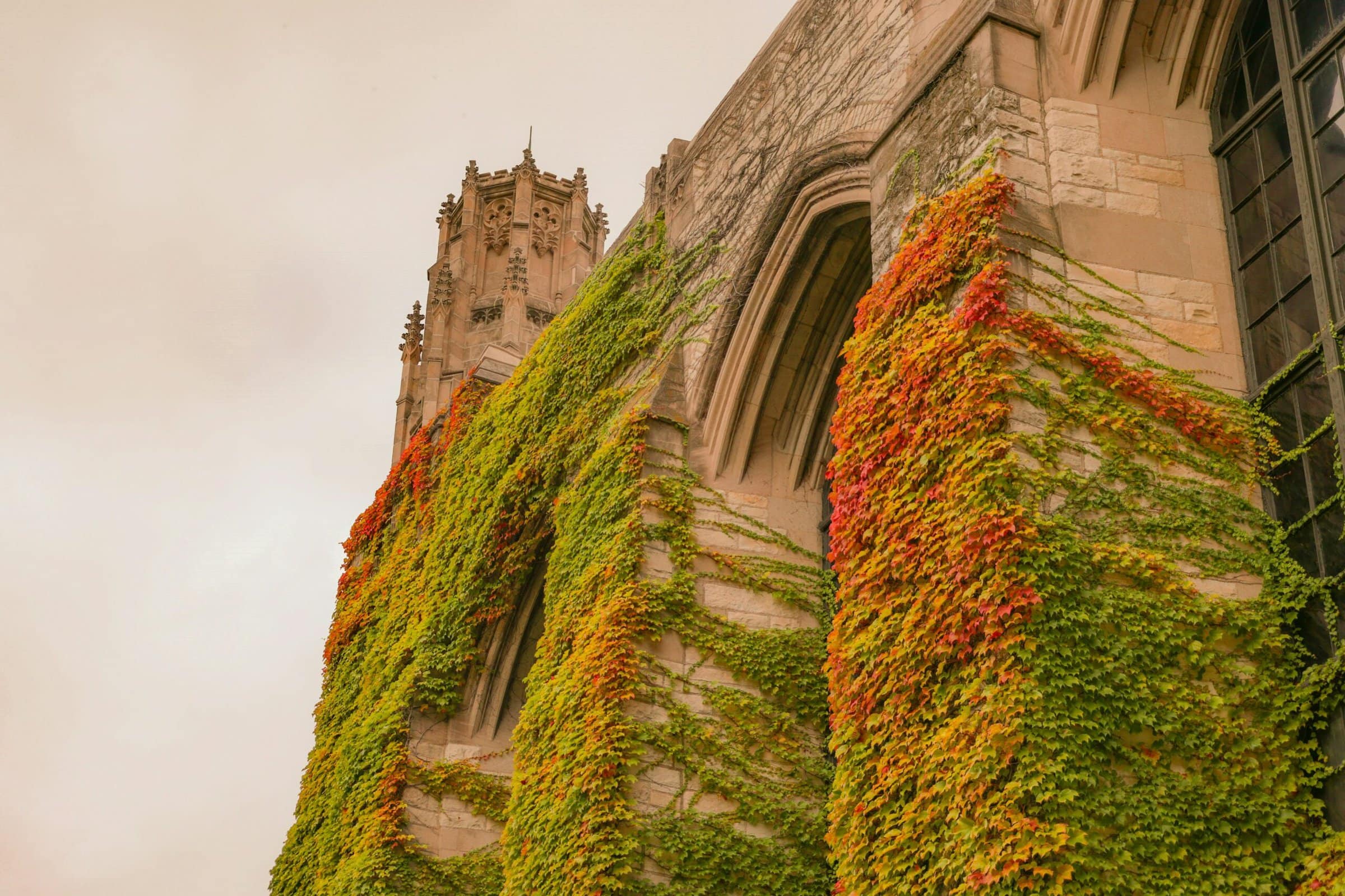 joss-broward-lNp_G49Nym4-unsplash