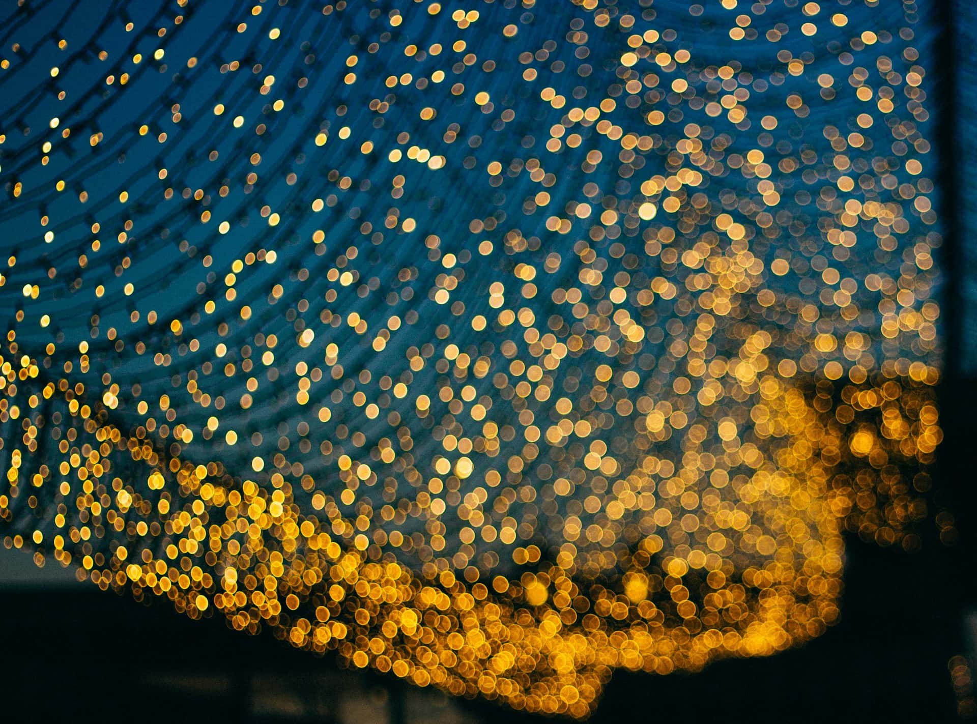Many golden string lights against blue and black background. The lights are out of focus, creating clusters of soft, round dots.